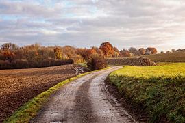 Ambiance automnale au Piepert sur Rob Boon