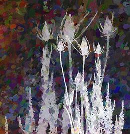 Silver thistles by Kay Weber