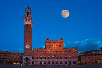 Siena, Italien  von Gunter Kirsch