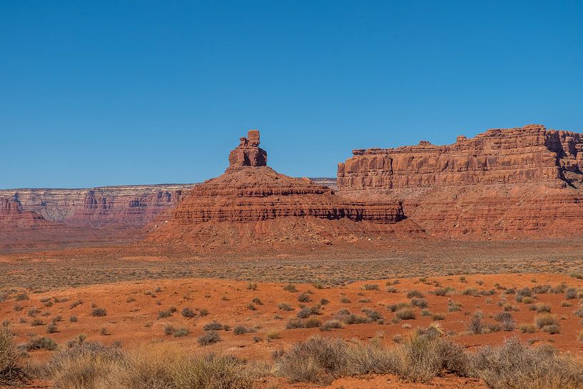 Valley of the Gods, Utah by Richard van der Woude