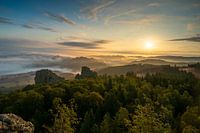 Sunrise in the forest