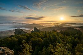 Sunrise in the forest by Lorant Petrik