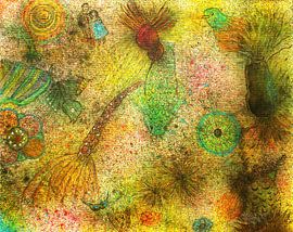 Fantasy van Bianca van der Reijden