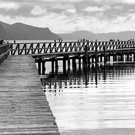 Zwart-wit opname van vervallen steiger aan de zuidoever van Lake Taupo, Nieuw-Zeeland van Rini Kools