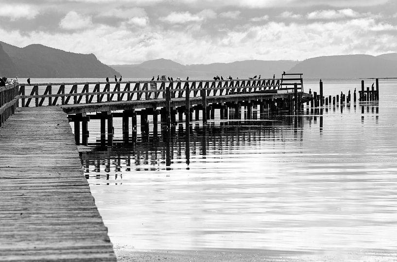 Vue en noir et blanc d'une jetée délabrée sur la rive sud du lac Taupo, Nouvelle-Zélande. par Rini Kools