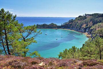 Bretagne Land Schafe von Florence Schmit