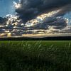 Sunset over meadow by Ellen Gerrits