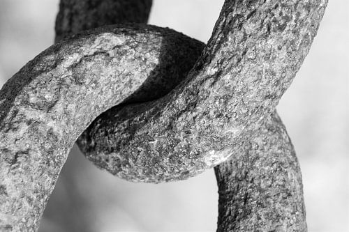 Nooit meer los van Tjacco Voskuilen