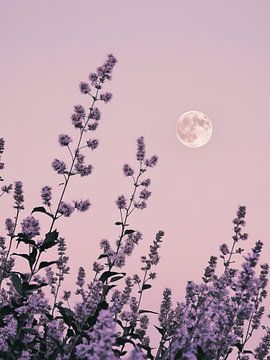 Paarse bloemen en witte maan van Thea
