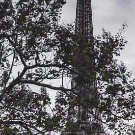 La Tour Eiffel von Olivier Peeters