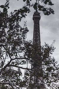 La Tour Eiffel van Olivier Peeters