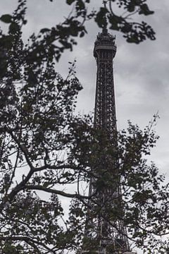 La Tour Eiffel von Olivier Peeters