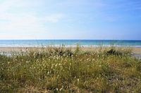 Sand dunes with sea grass beds on a beach in Brittany France
