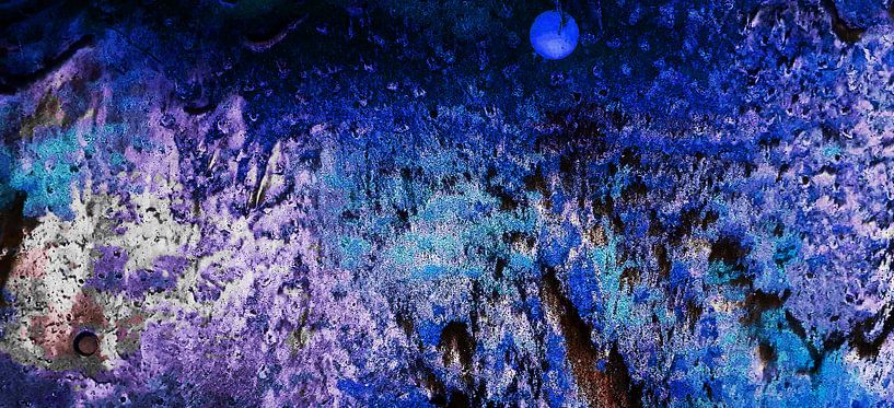 Jungle At Night van Petrus Peels