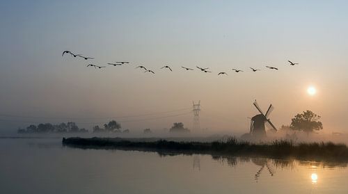 Zonsopkomst Nederland Molen Polder