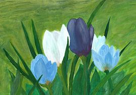 Crocuses by Sandra Steinke
