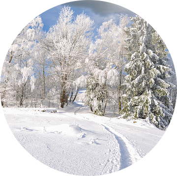 Winterlandschap in het Beierse Woud van Peter Eckert