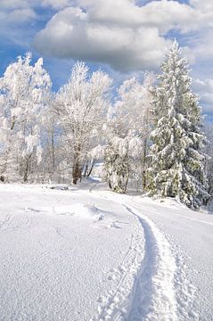 Winterlandschaft im Bayerischen Wald von Peter Eckert