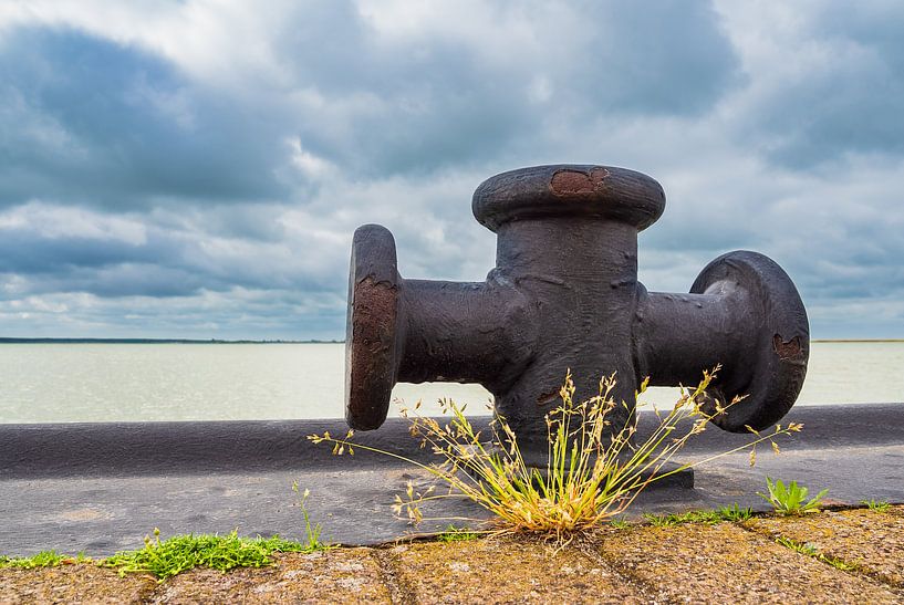 Hafen am Bodden auf dem Fischland-Darß in Born van Rico Ködder