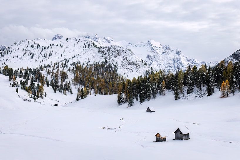 Weißer Herbst in den Dolomiten von Daniela Beyer