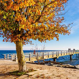 Promenade and pier in autumn in the town of Sassnitz on the by Rico Ködder