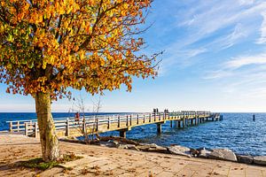 Promenade und Seebrücke im Herbst in der Stadt Sassnitz auf der