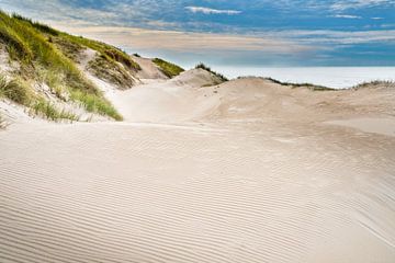 Côte néerlandaise avec la plage et les dunes de la mer du Nord