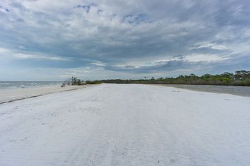 Verenigde Staten, Florida, Perfect wit zand op strand van honeymoon eiland van adventure-photos