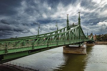 De Vrijheidsbrug over de Donau in Boedapest van Roland Brack