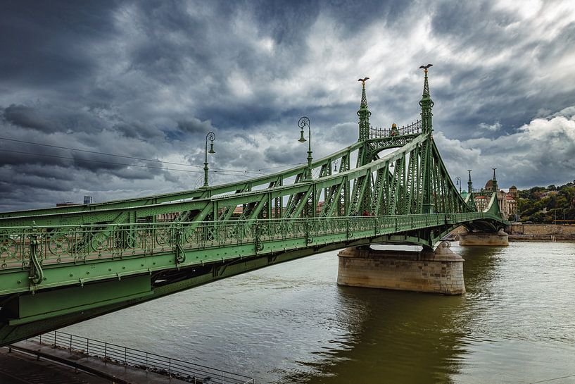 Die Freiheitsbrücke über die Donau in Budapest von Roland Brack