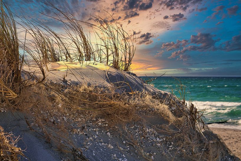On the sandy beach of the Baltic Sea coast by Martin Köbsch