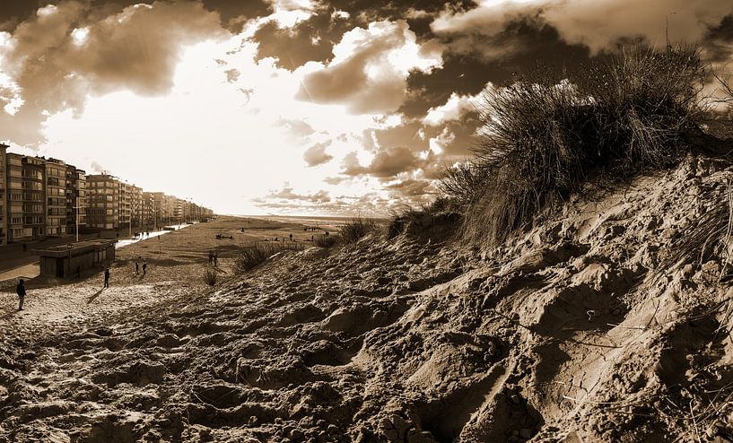 dune with dune grass in Koksijde in sepia by Youri Mahieu