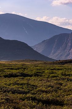 Bergstapel in Jotunheimen, Noorwegen - kleur