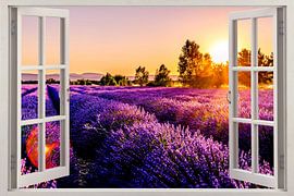 Hotel Lavande von Co Seijn