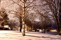 Noord-Zweden dorp