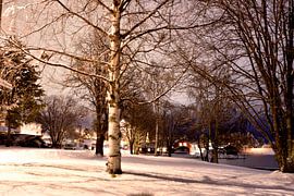 Northern Sweden village