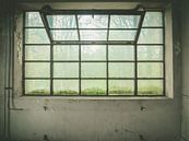 big window by Martijn Tilroe thumbnail