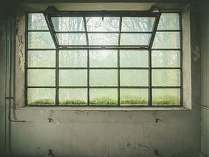 großes Fenster