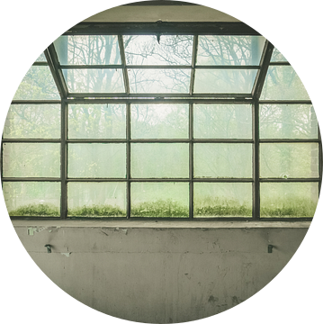 Groot raam van binnen naar buiten van Martijn Tilroe