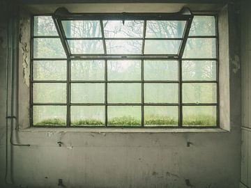 großes Fenster von Martijn Tilroe