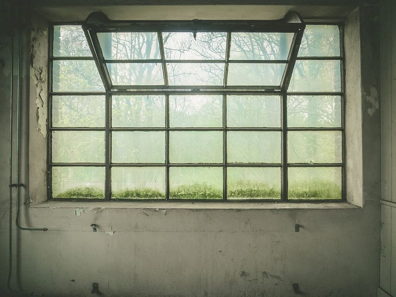 grande fenêtre par Martijn Tilroe