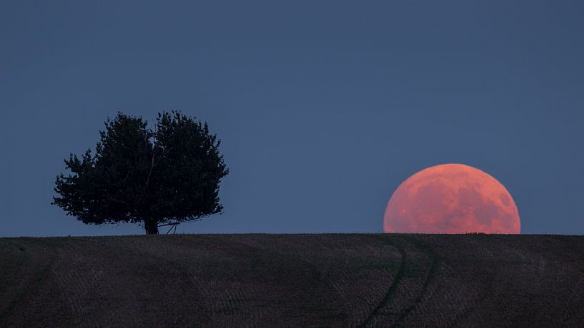 Ingenious moonrise by Ronny Rohloff