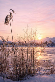 Douce matinée d'hiver dans le Murnauer Moos, en Haute-Bavière sur Christina Bauer Photos