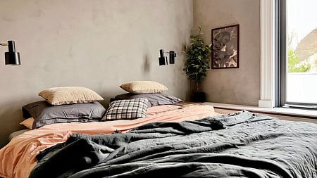 Studio Palette x Bold - Whispering Romantic