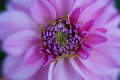 Simple but beautiful!