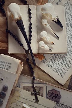 Collection #101 - Birds van Angelique Brunas