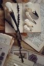 Collection #101 - Birds van Angelique Brunas thumbnail