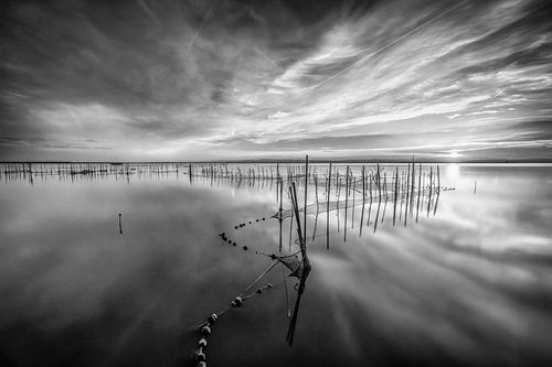 Meer Landschap zwart-wit