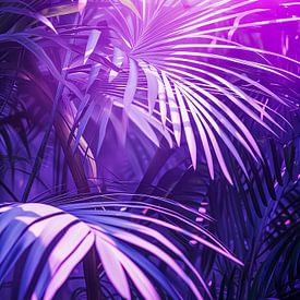 Light play palm leaves by Steffen Gierok