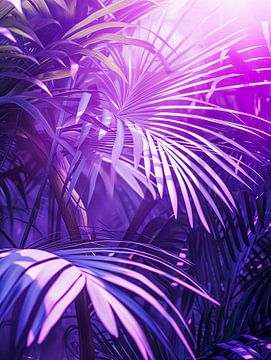 Feuilles de palmier à jeux de lumière